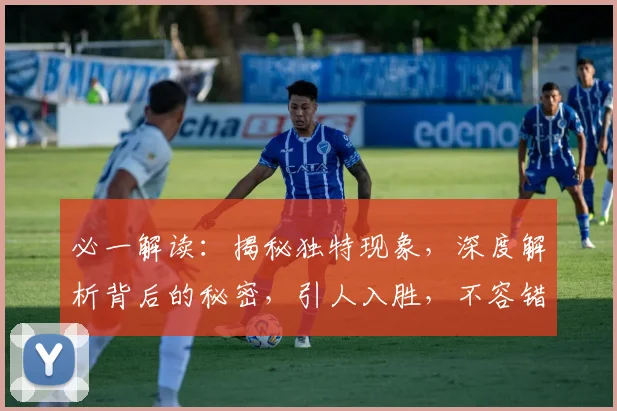 必一解读：揭秘独特现象，深度解析背后的秘密，引人入胜，不容错过