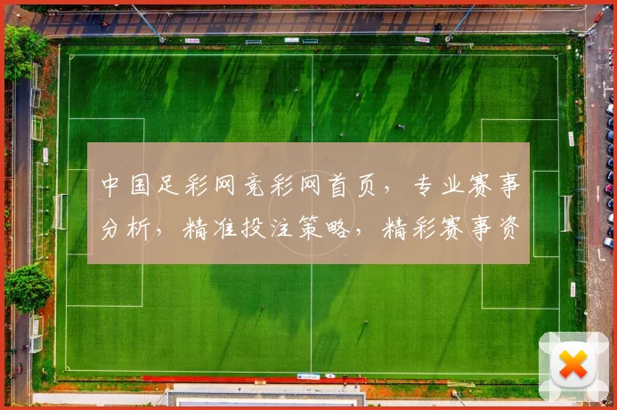 中国足彩网竞彩网首页，专业赛事分析，精准投注策略，精彩赛事资讯，一网打尽