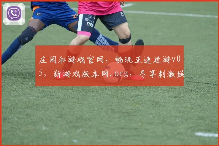 庄闲和游戏官网，畅玩正速进游v05，新游戏版本网.org，尽享刺激娱乐